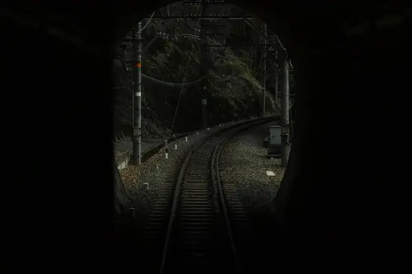 極楽橋駅の写真・動画_image_492814