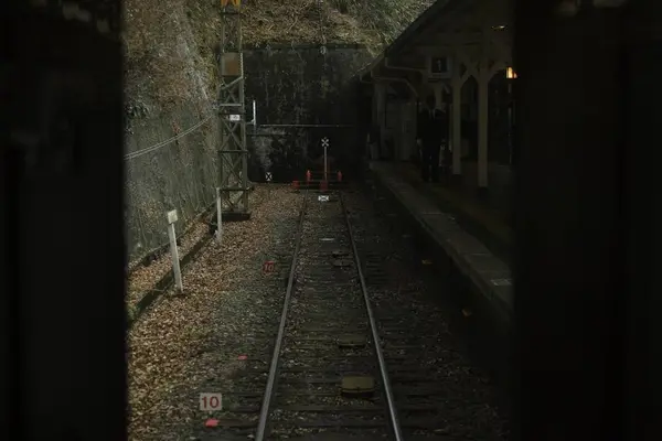 極楽橋駅の写真・動画_image_492815