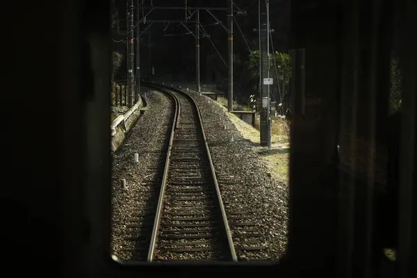 極楽橋駅の写真・動画_image_492816