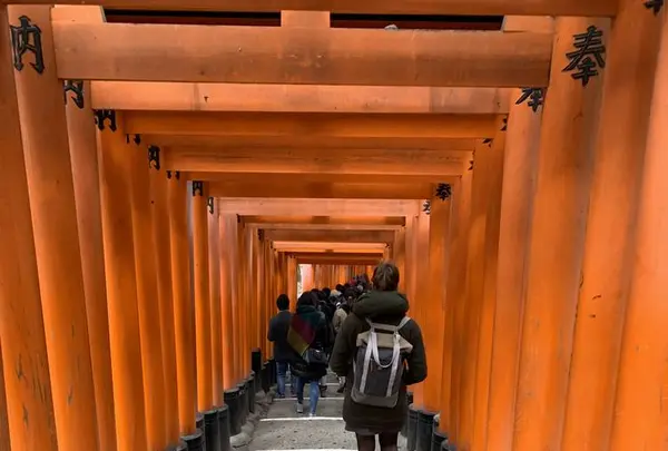 京都市の写真・動画_image_493064
