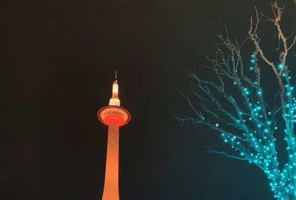 京都市の写真・動画_image_493066