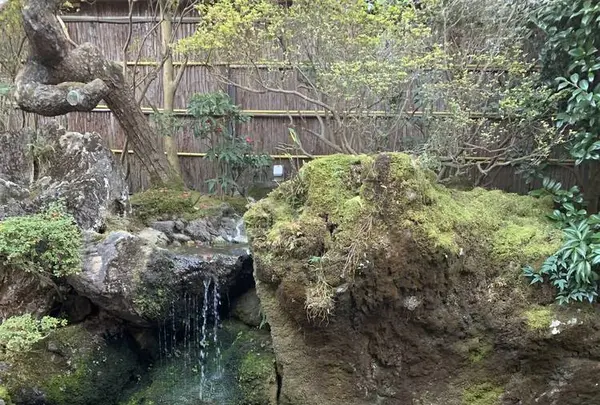 京都市の写真・動画_image_493068