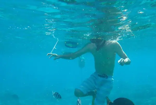 小笠原村の写真・動画_image_494992