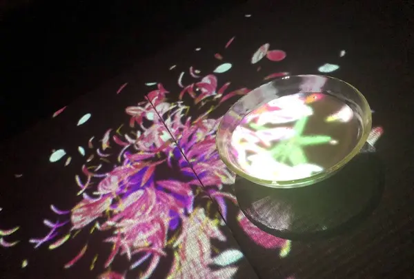 【閉業】森ビルデジタルアートミュージアム：エプソン チームラボボーダレス（MORI Building Digital Art Museum: EPSON teamLab Borderless）の写真・動画_image_495781