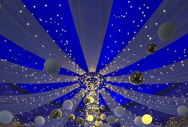 まめものの写真・動画_image_495789