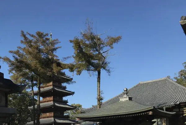 本山寺の写真・動画_image_495822