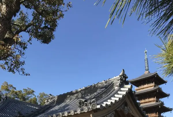 本山寺の写真・動画_image_495823