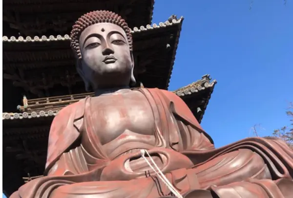 興正寺（尾張高野）の写真・動画_image_496285