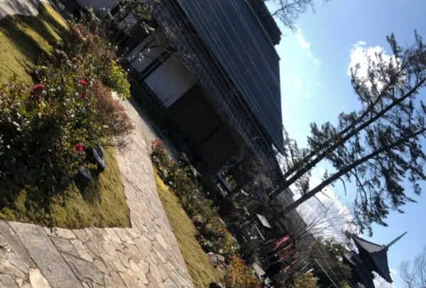 興正寺（尾張高野）の写真・動画_image_496286