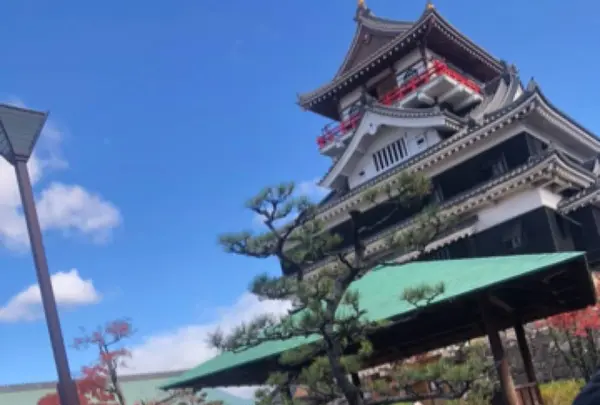 清州城の写真・動画_image_496294