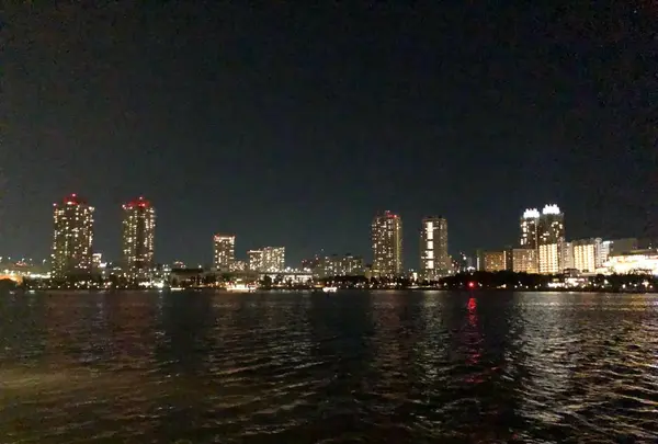 元祖もんじゃ屋形船 江戸前汽船の写真・動画_image_497370