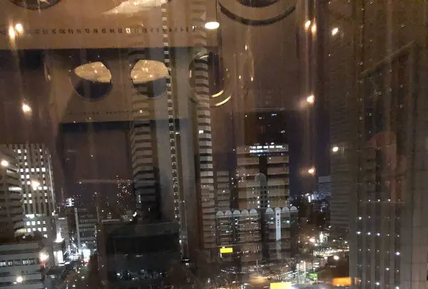 ハイアットリージェンシー東京の写真・動画_image_497380