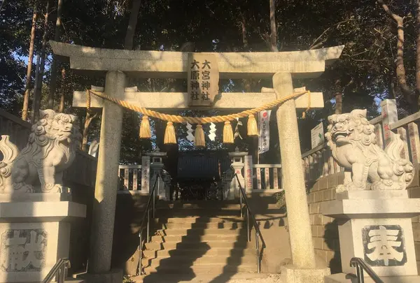 大宮大原神社の写真・動画_image_497927
