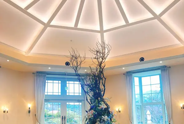 一色堂茶廊の写真・動画_image_498872