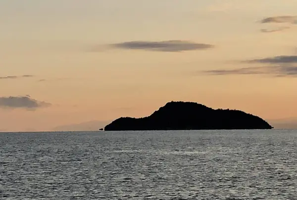 志島ヶ原梅林の写真・動画_image_499161