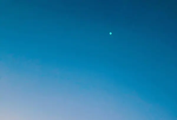 志島ヶ原梅林の写真・動画_image_499163