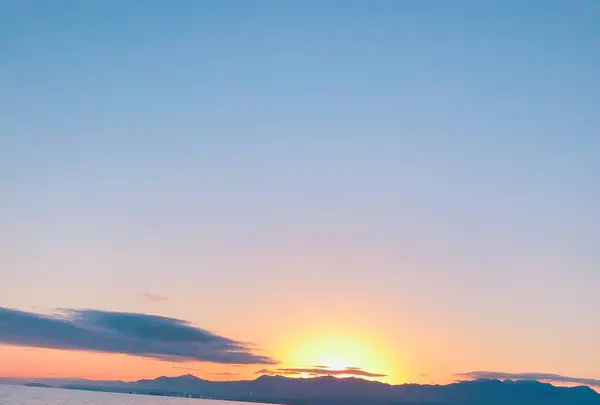 志島ヶ原梅林の写真・動画_image_499164