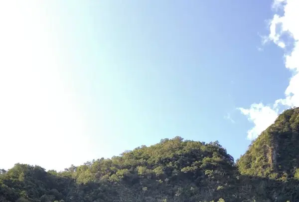 彩虹眷村（Rainbow Village）の写真・動画_image_501143