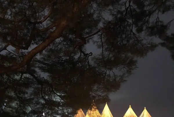 兼六園の写真・動画_image_502407