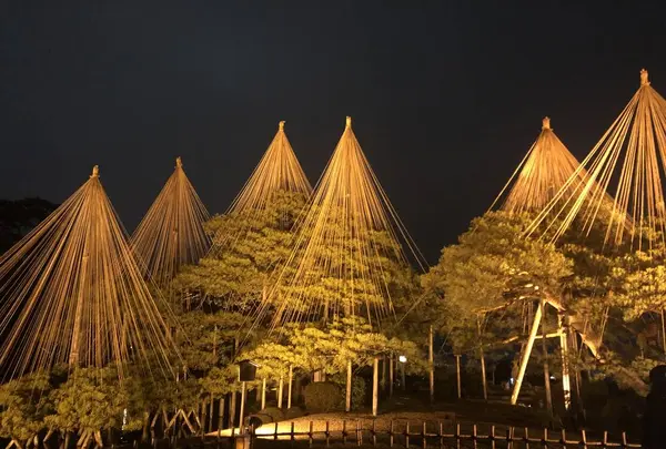 兼六園の写真・動画_image_502409