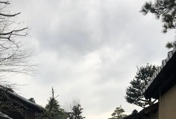 長町武家屋敷跡の写真・動画_image_502453