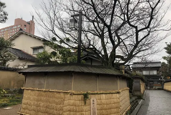 長町武家屋敷跡の写真・動画_image_502455