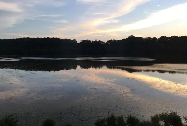 網走湖の写真・動画_image_504022