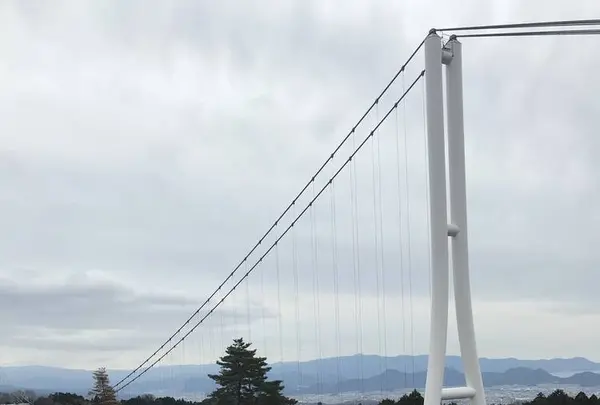 三島スカイウォークの写真・動画_image_505096