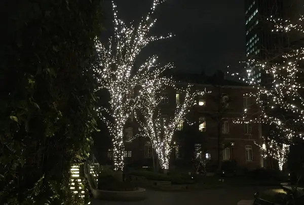 三菱一号館美術館の写真・動画_image_505745