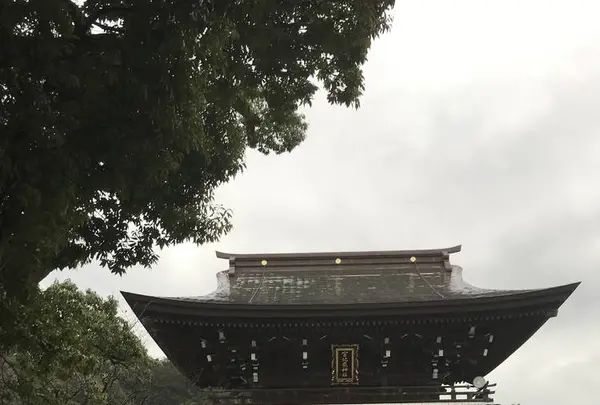 宮地嶽神社の写真・動画_image_505886