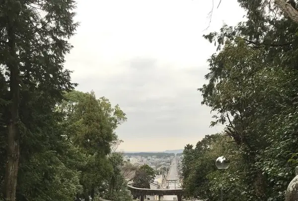 宮地嶽神社の写真・動画_image_505888