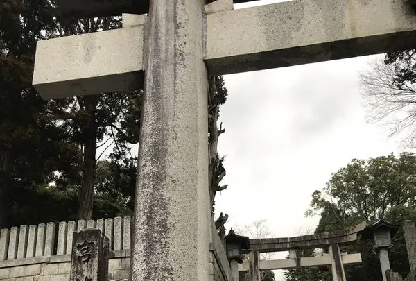 宮地嶽神社の写真・動画_image_505890
