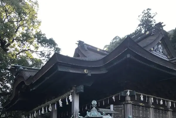 金刀比羅宮（こんぴらさん）の写真・動画_image_506212