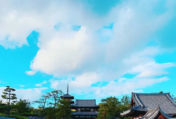 法隆寺の写真・動画_image_507999