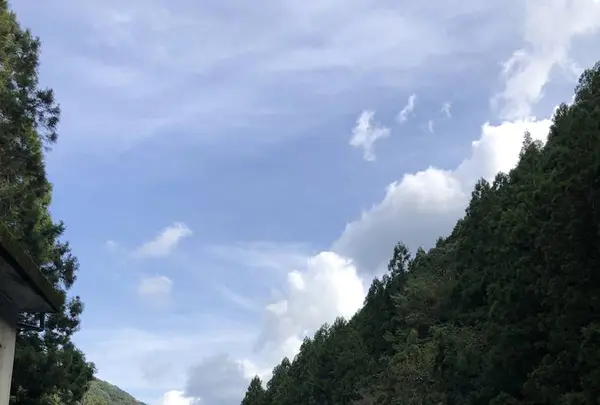十津川温泉の写真・動画_image_509964