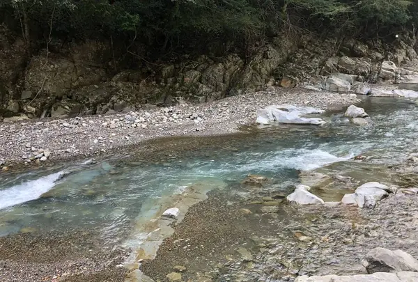 十津川温泉の写真・動画_image_509966