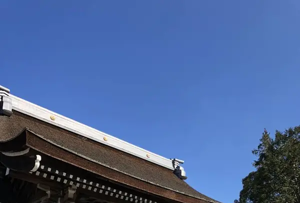 伊弉諾神宮の写真・動画_image_511242