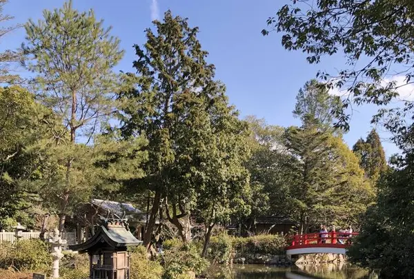 伊弉諾神宮の写真・動画_image_511243