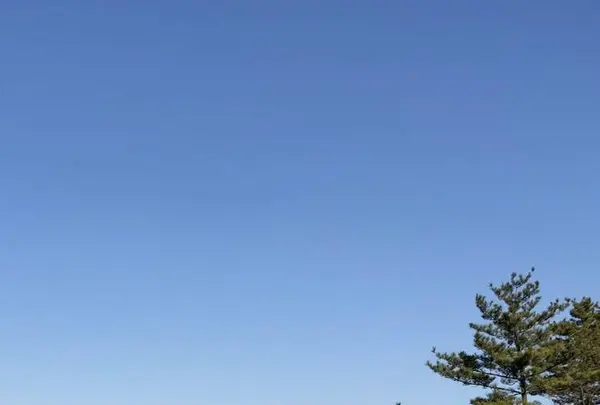 絵島の写真・動画_image_511245