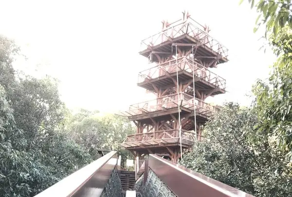 万博記念公園の写真・動画_image_512725