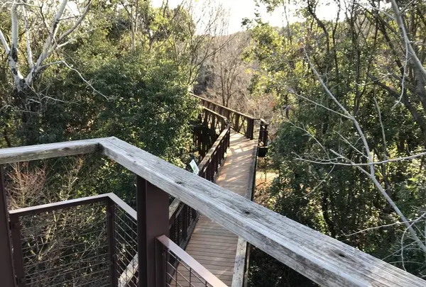 万博記念公園の写真・動画_image_512726