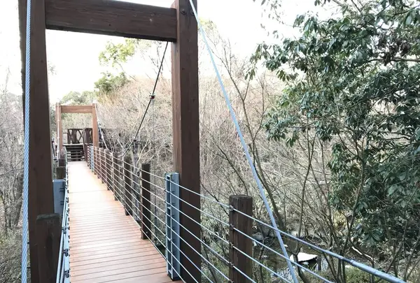 万博記念公園の写真・動画_image_512727