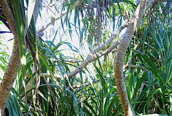 三角点の写真・動画_image_513397