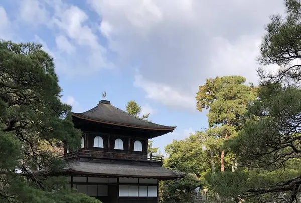 京都の写真・動画_image_513568