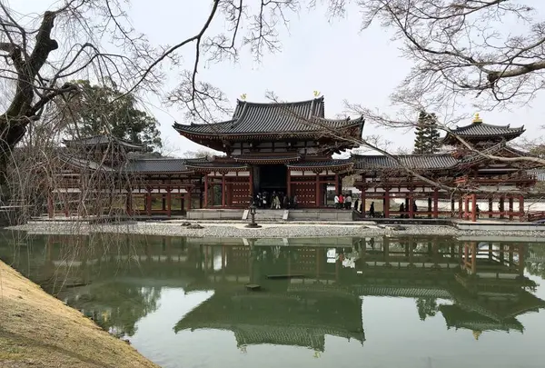 京都の写真・動画_image_513569