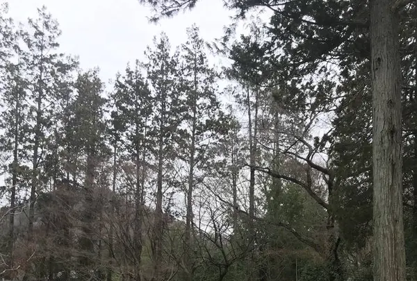 ホテル一乃館の写真・動画_image_514600