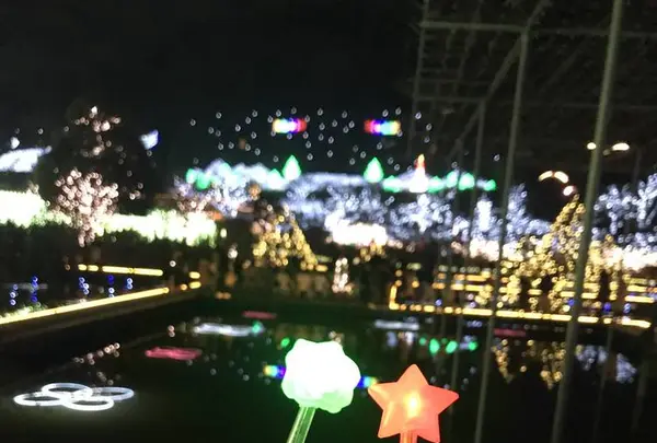 あしかがフラワーパークの写真・動画_image_514608