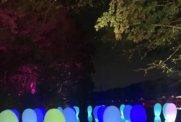 メッツァビレッジの写真・動画_image_514633