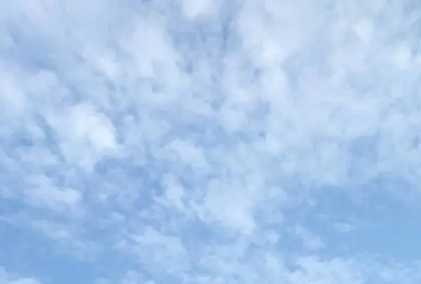 三鷹の森ジブリ美術館の写真・動画_image_515577