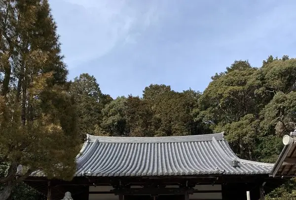 満願寺の写真・動画_image_517450